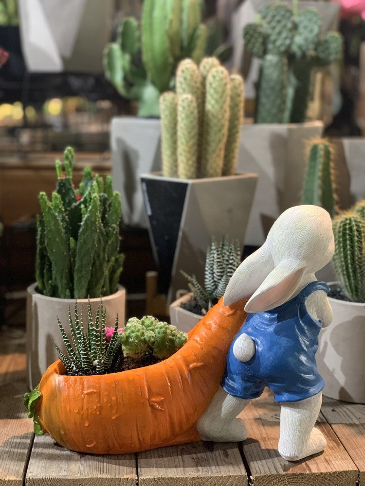 Resin Rabbit Planter with Carrot Flower Pot - Cute Succulent & Desk Decor