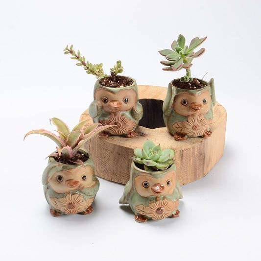 Ceramic Owl Succulent Planters - Mini Flower Pots or Indoor Plants (Set of 4)