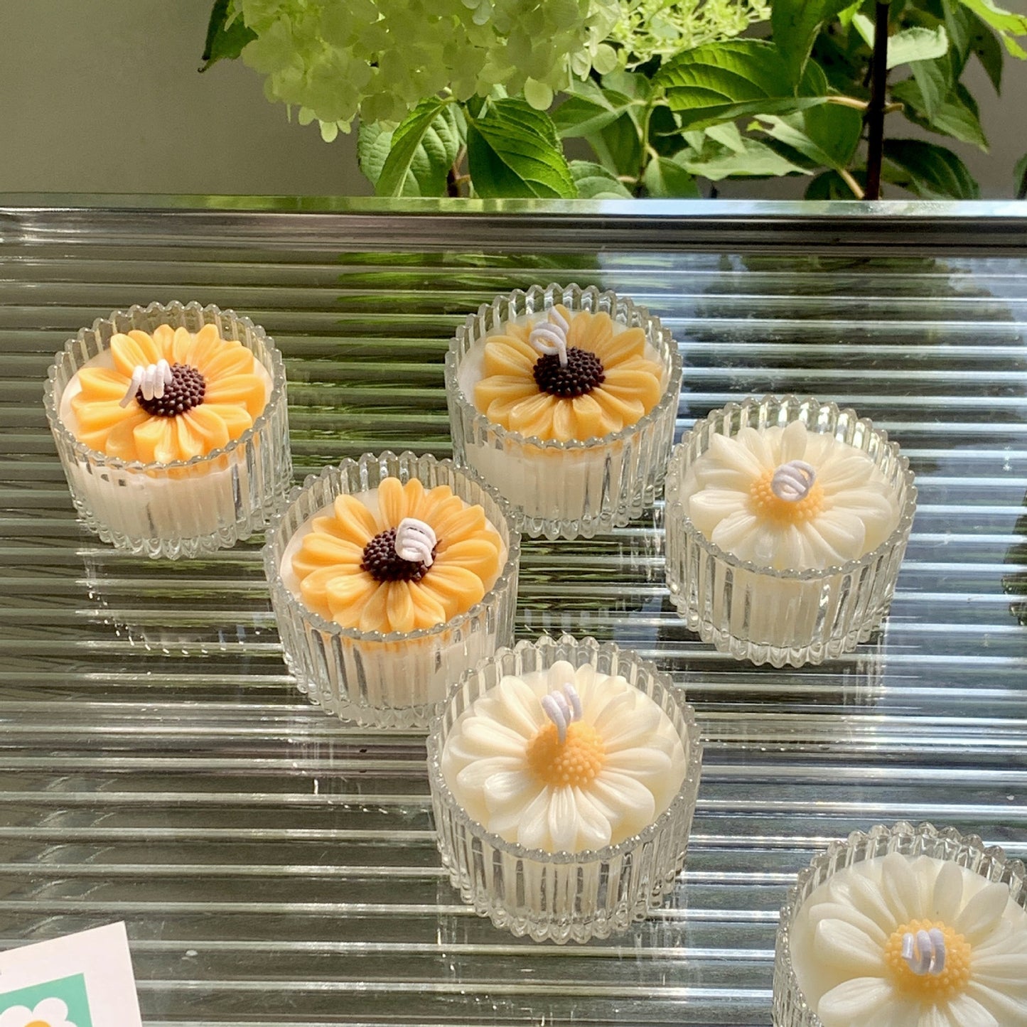 Daisy Flower Glass Soy Wax Candle - Aromatherapy Decorative Gift