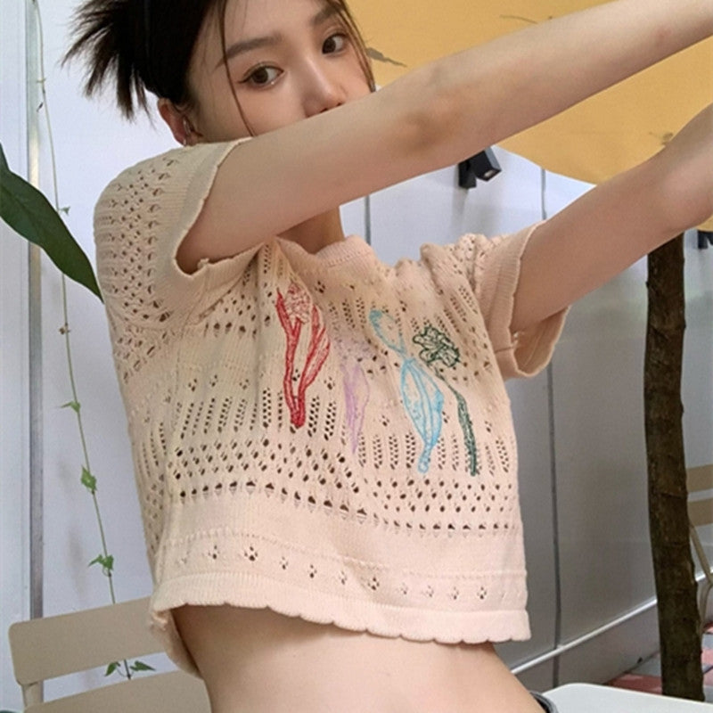 Boho Embroidered Cutout Crop Tee - Short Sleeve Lace Knit Top