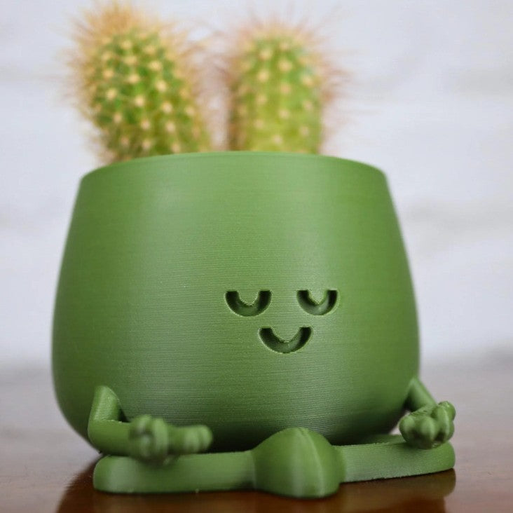 Funny Character Flower Pots - Cartoon Plant Planters with Personality