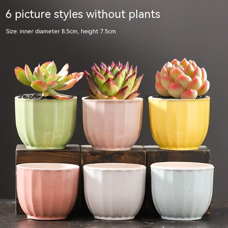 Rustic Ceramic Succulent Planter Pots - Large Flower Pots for Indoor & Outdoor Decor