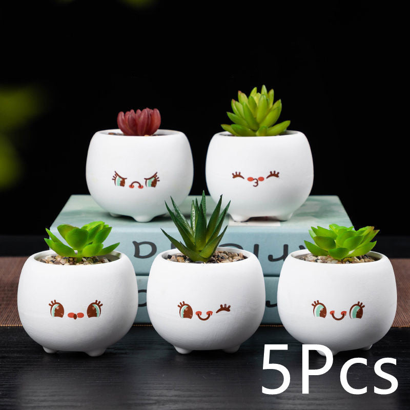 5-Piece Mini Ceramic Succulent Planter Set - Cute Face Flower Pots