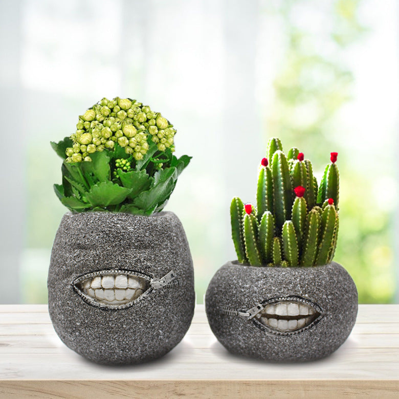 Funny Resin Tooth Flower Pots - Creative Succulent & Cactus Planters (Set of 2)