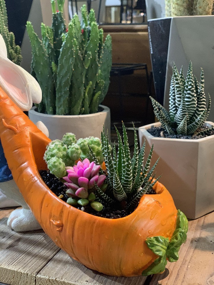 Resin Rabbit Planter with Carrot Flower Pot - Cute Succulent & Desk Decor