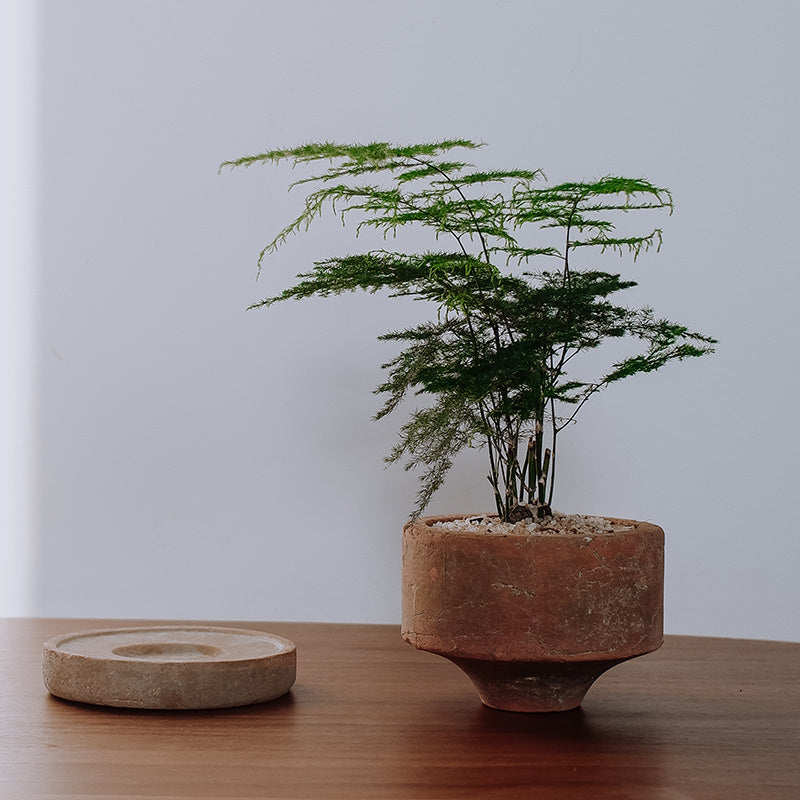 Red Ceramic Pedestal Flower Pot - Modern Planter with Drainage Tray